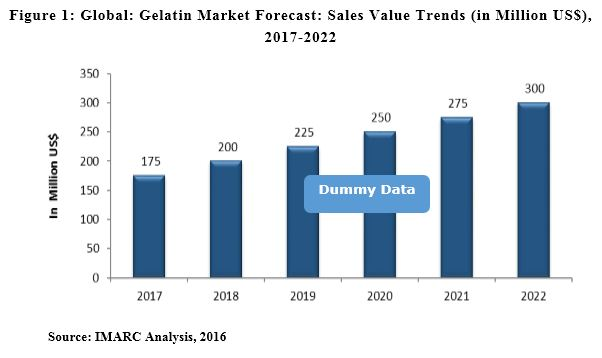 Gelatin Market