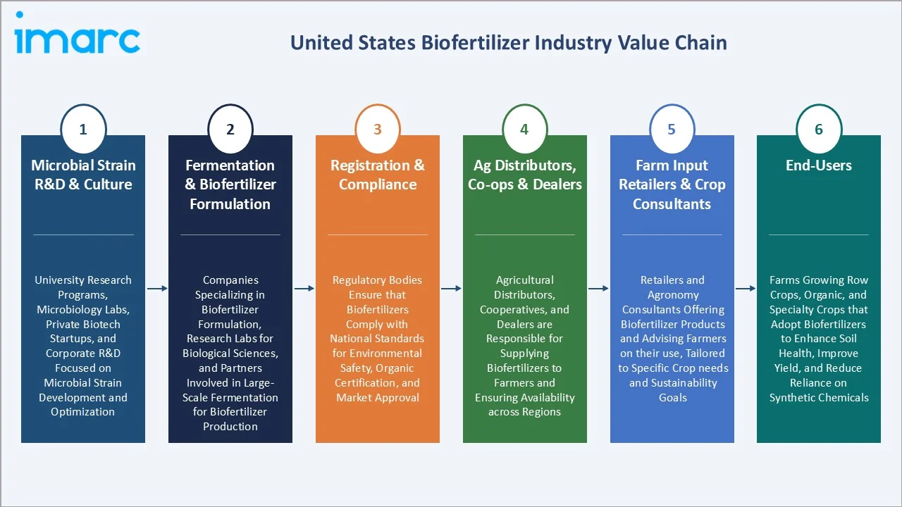 United States Biofertilizer Market Value Chain