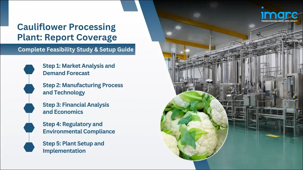 Drinking Chocolate Mix Manufacturing Plant Project Report
