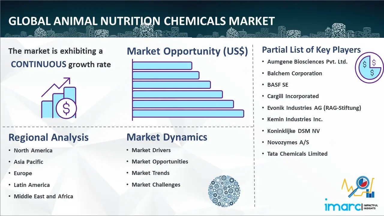 Global Animal Nutrition Chemicals Market
