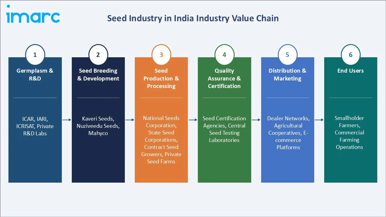 Seed Industry in India Value Chain