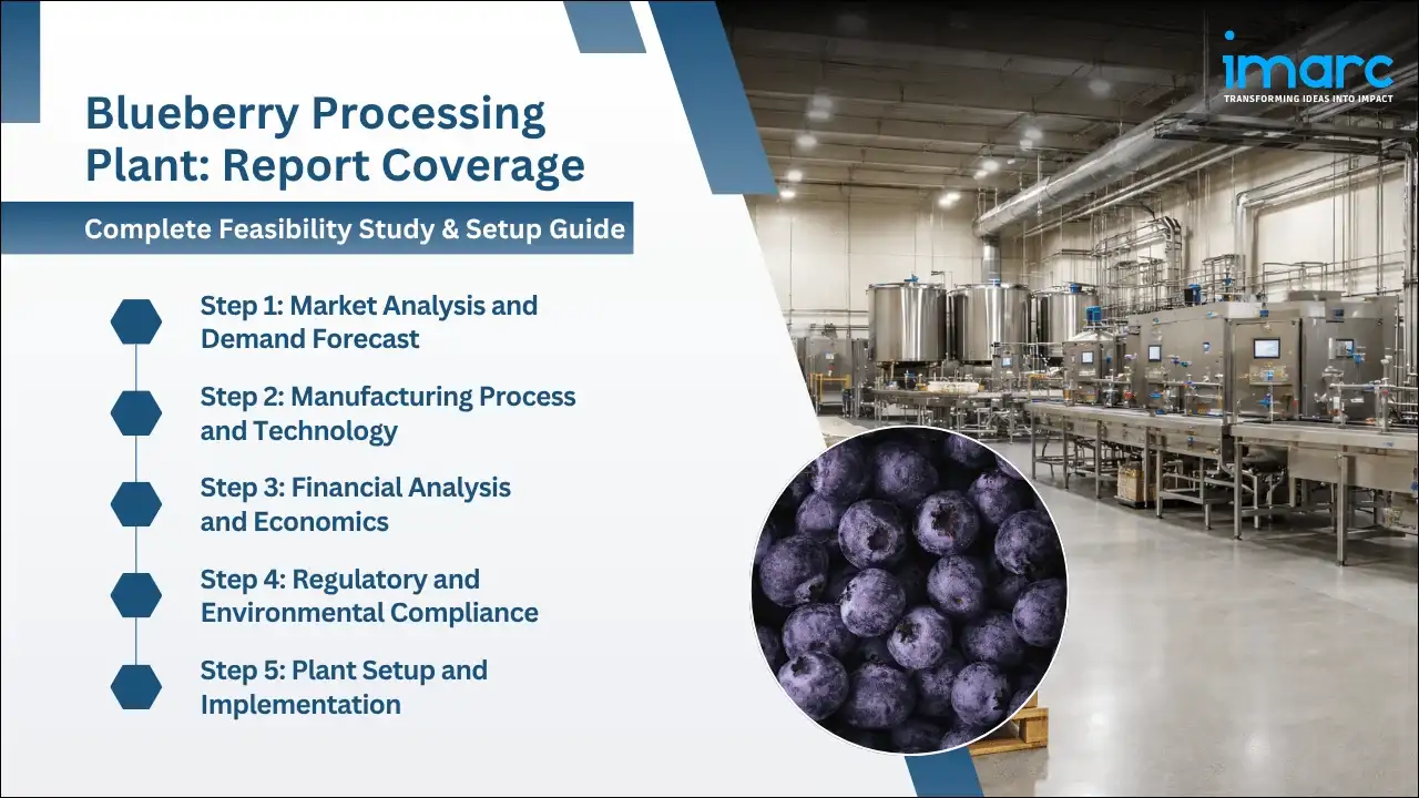 Blueberry Processing Plant Project Report
