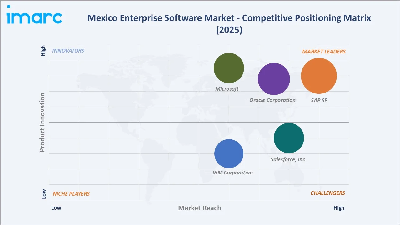 Mexico Enterprise Software Market Competitive Positioning Matrix