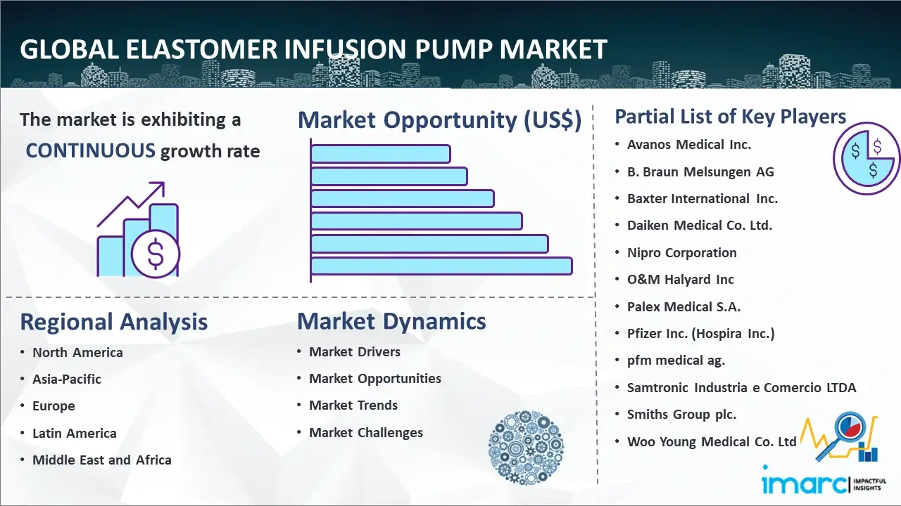 Global Elastomer Infusion Pump Market