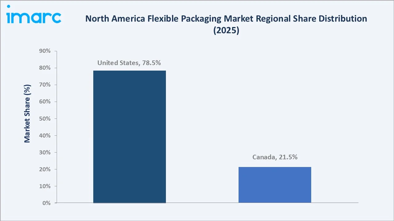 North America Flexible Packaging Market By Region