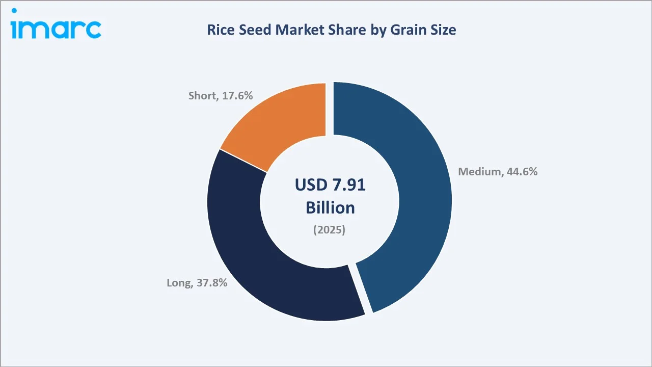 Rice Seed Market By Grain Size
