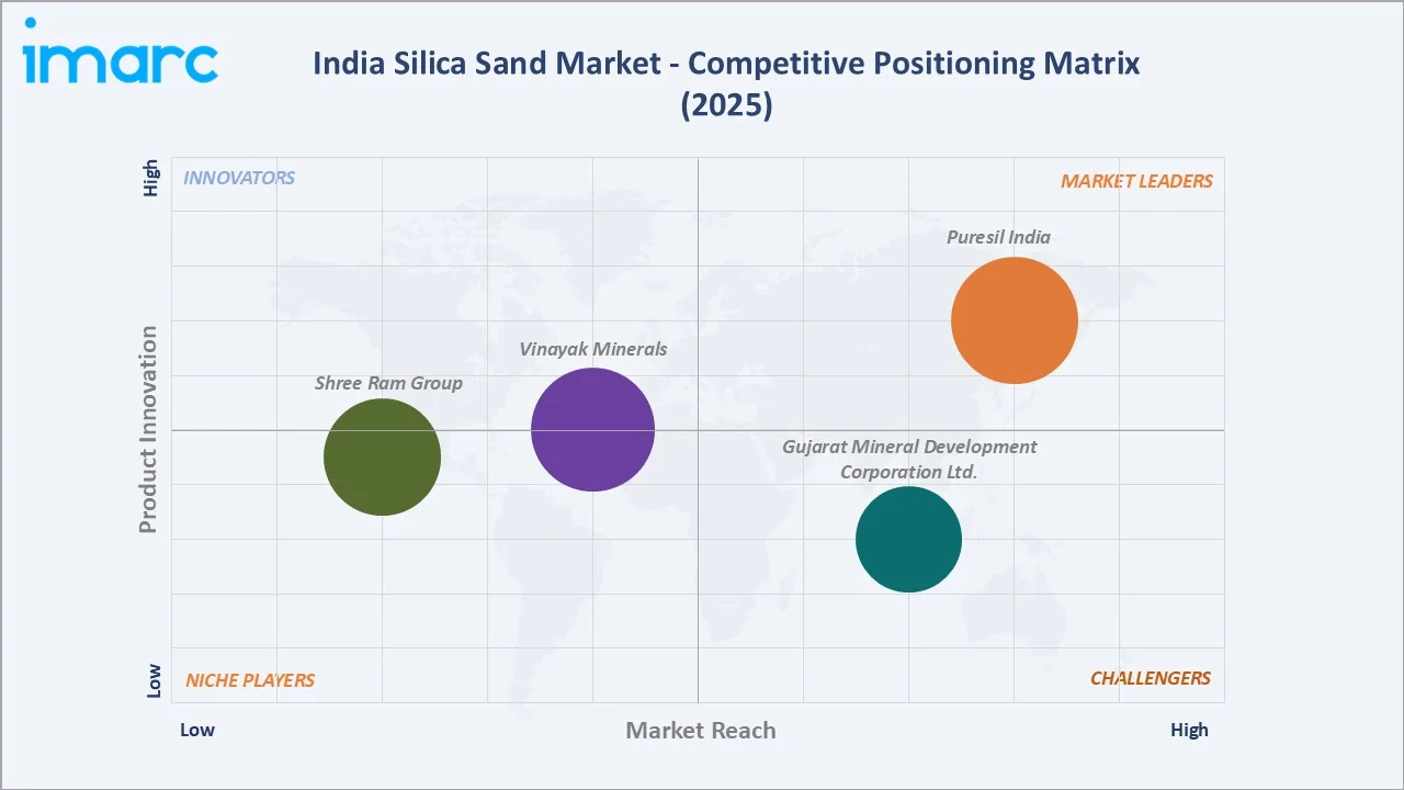 India Silica Sand Market Competitive Positioning Matrix