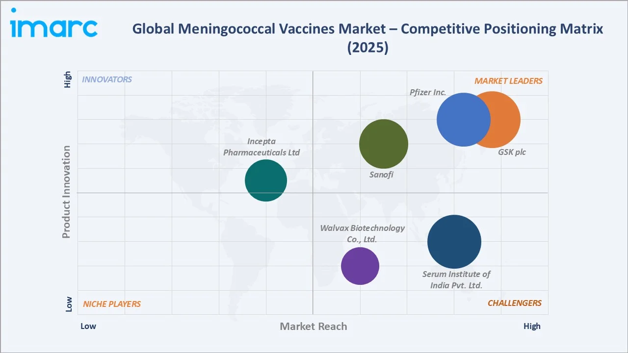 Meningococcal Vaccines Market By Competitive Landscape
