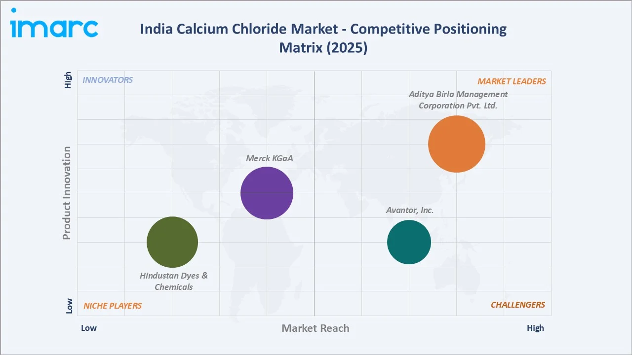 India Calcium Chloride Market By Competitive Positioning Matrix