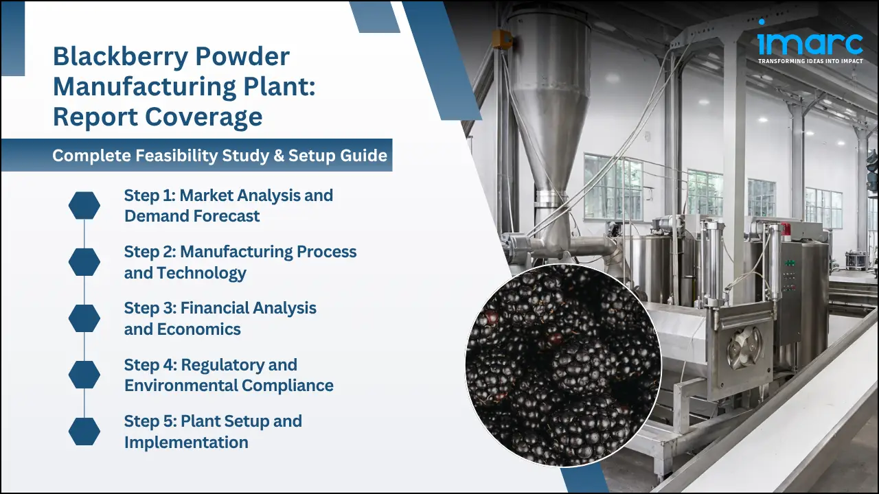 Blackberry Powder Manufacturing Plant Project Report
