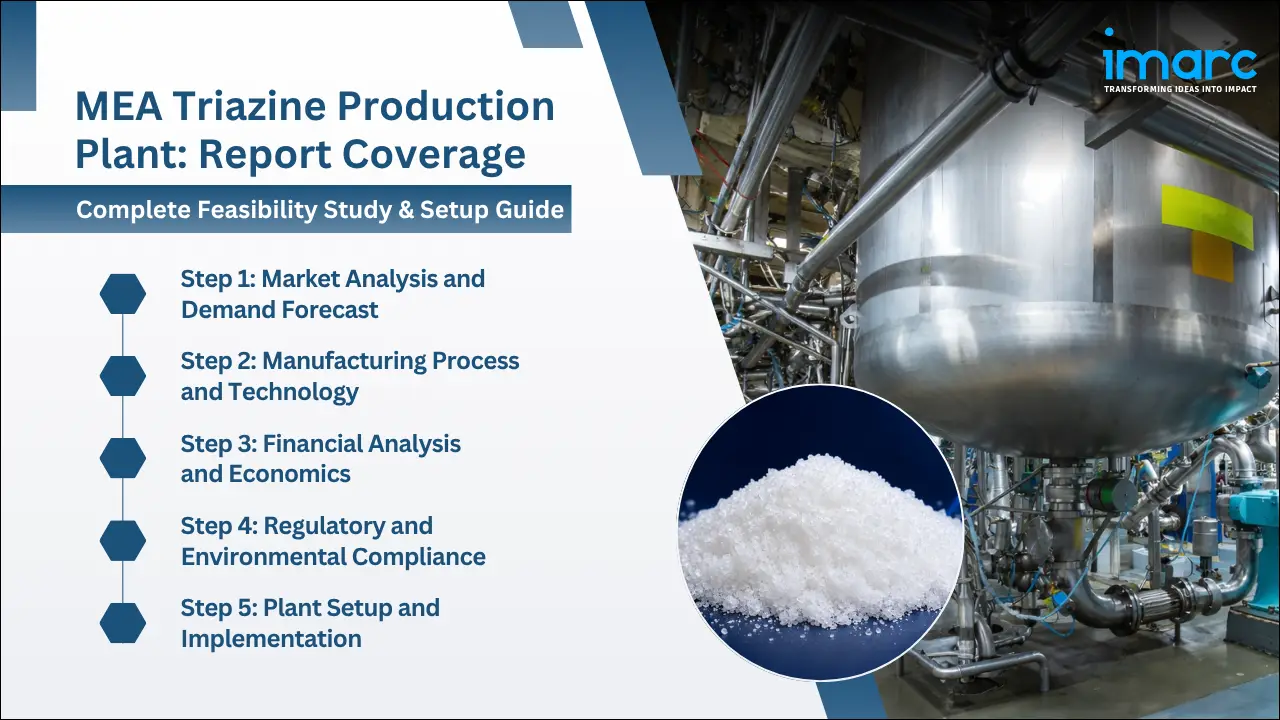 Mea Triazine Production Cost Analysis Report