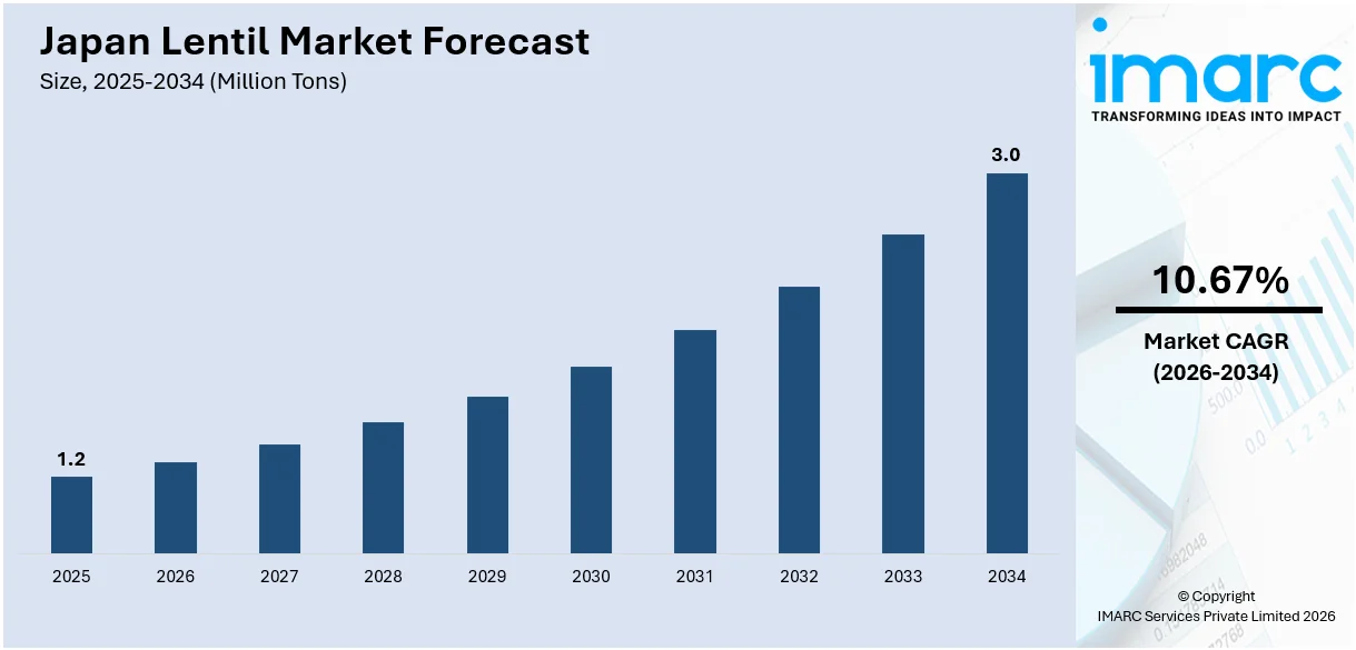 Japan Lentil Market Size