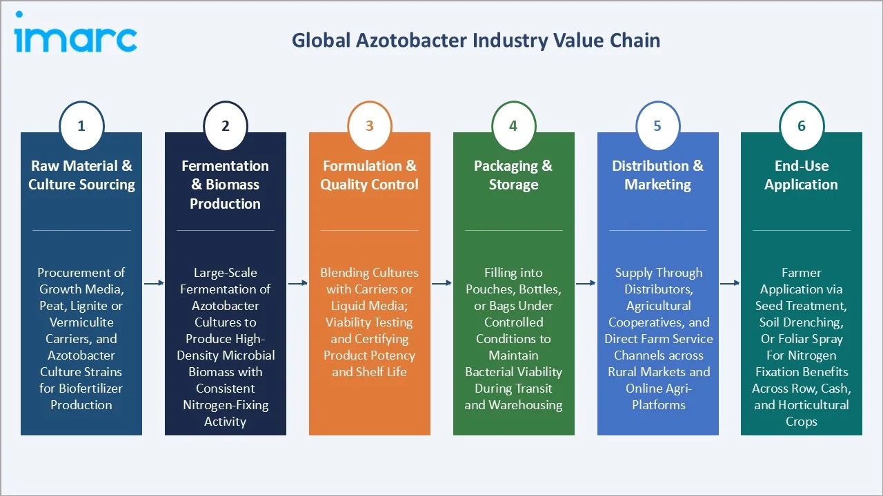 Azotobacter Market Value Chain