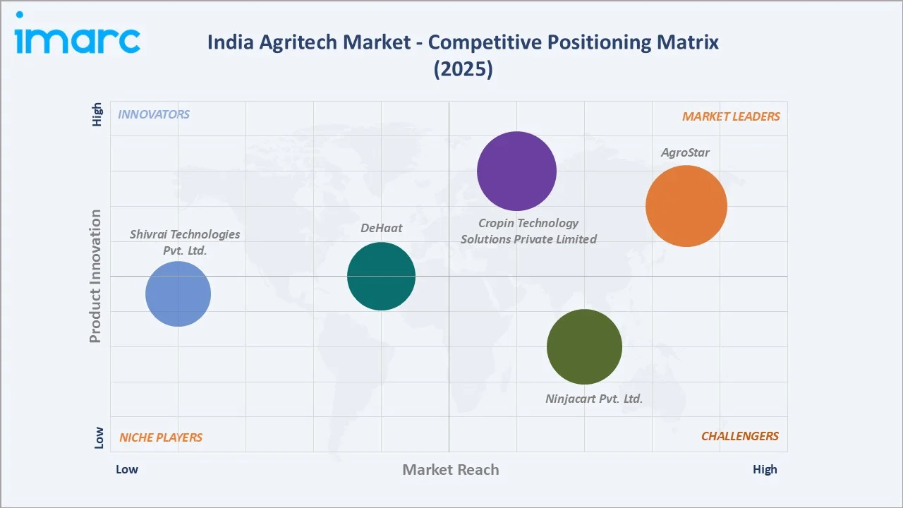 India Agritech Market By Competitive Positioning Matrix