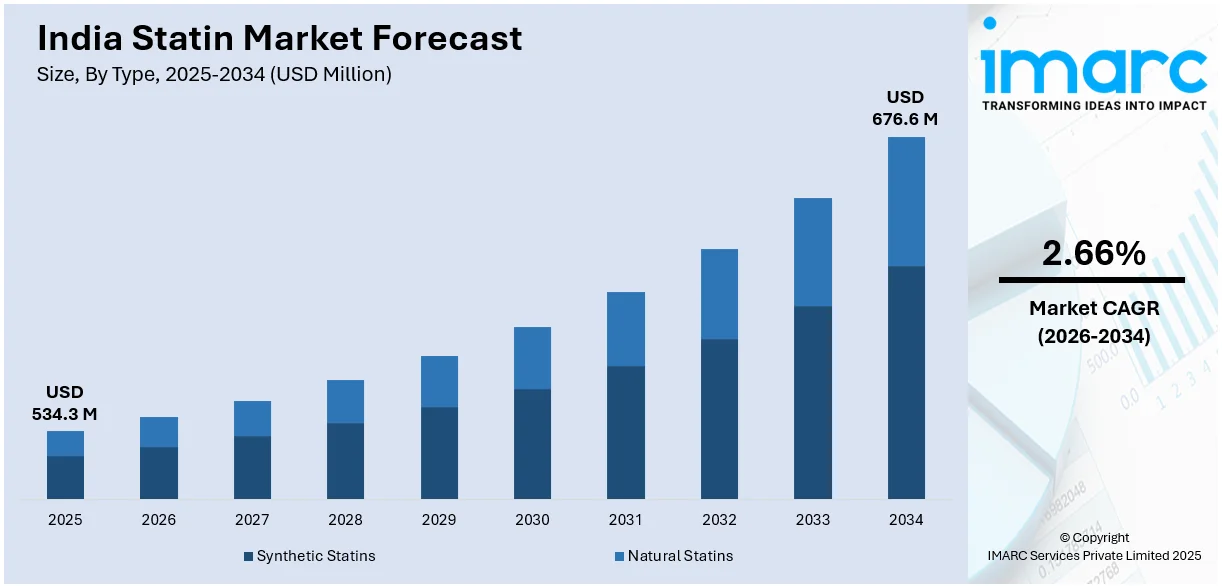 India Statin Market Size
