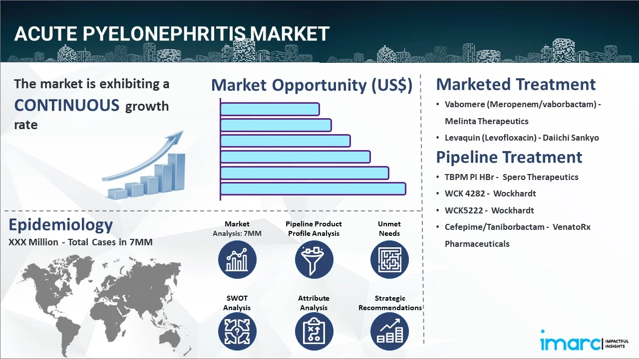 Acute Pyelonephritis Market