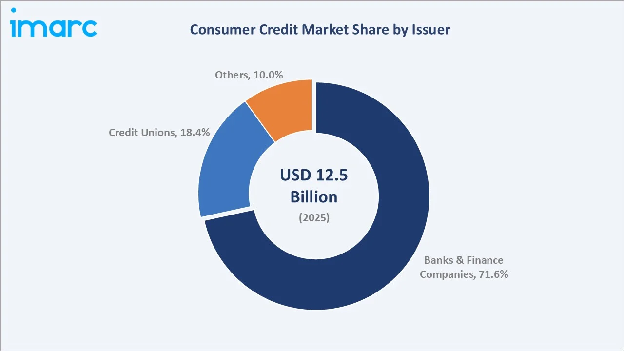Consumer Credit Market By Issuer