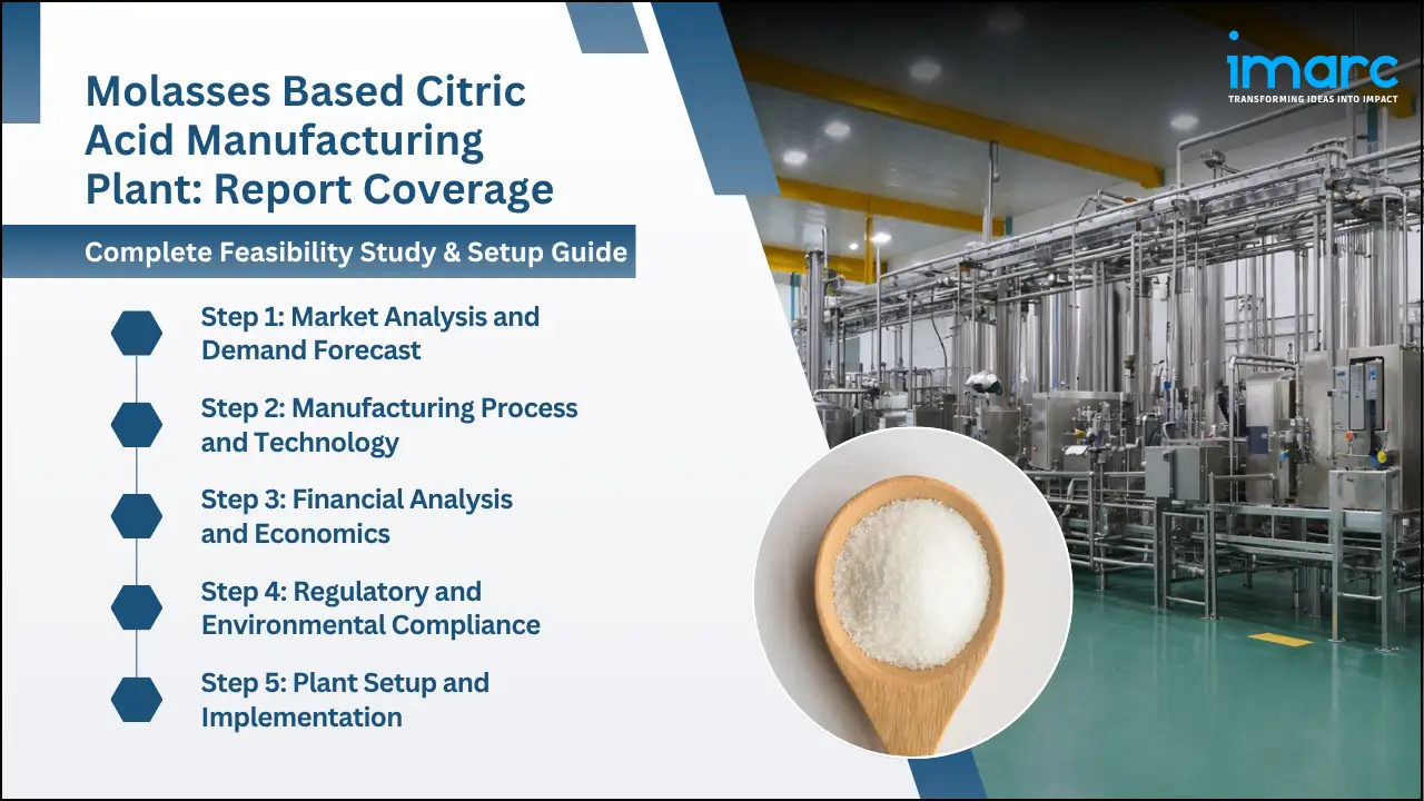 Molasses Based Citric Acid Manufacturing Plant Project Report