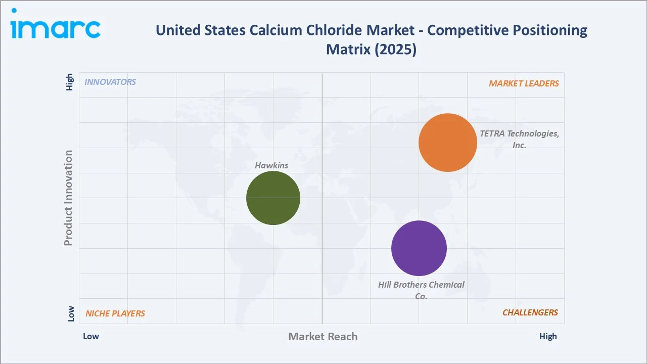 United States Calcium Chloride Market By Competitive Positioning Matrix