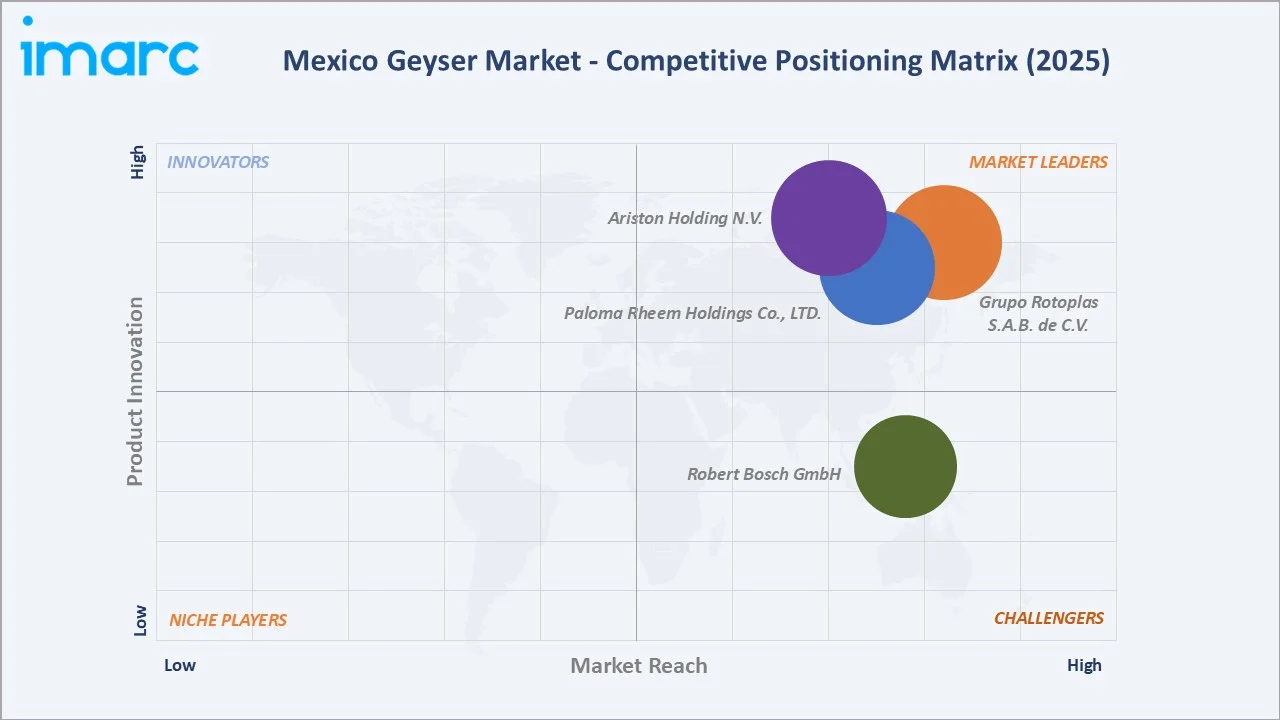 Mexico Geyser Market Competitive Positioning Matrix