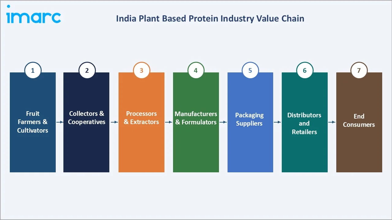 India Plant Based Protein Market Value Chain