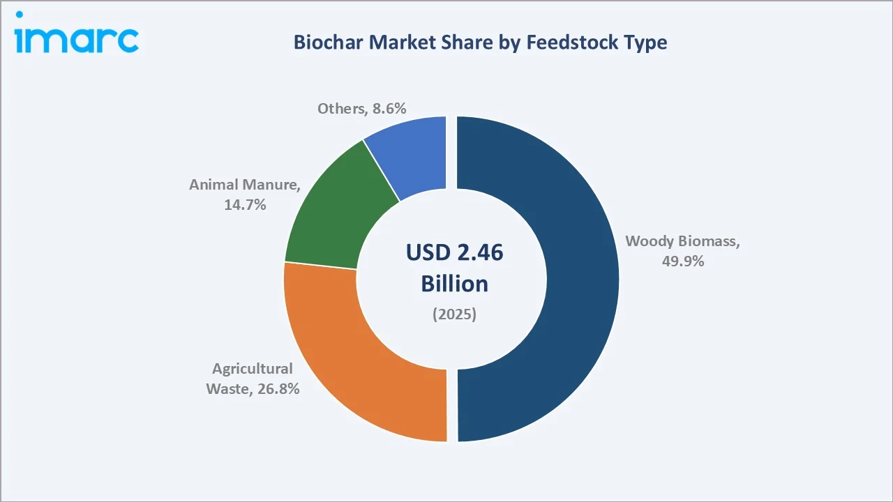 Biochar Market By Feedstock Type