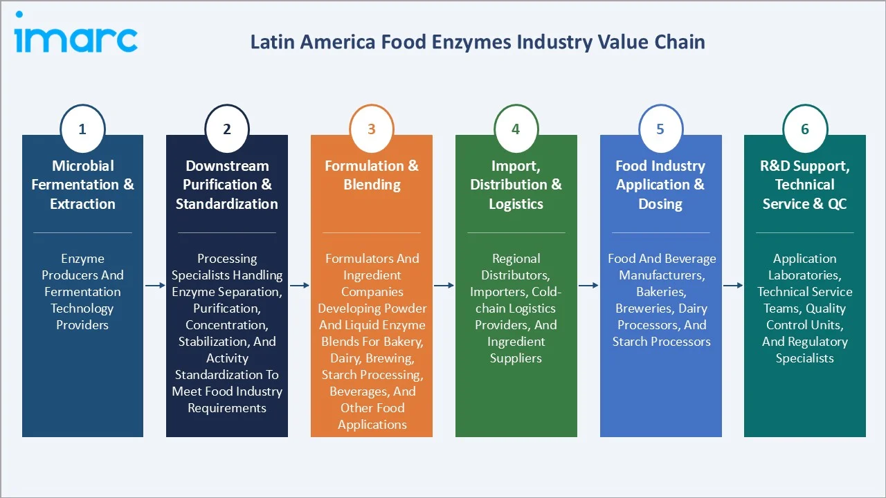Latin America Food Enzymes Market Value Chain