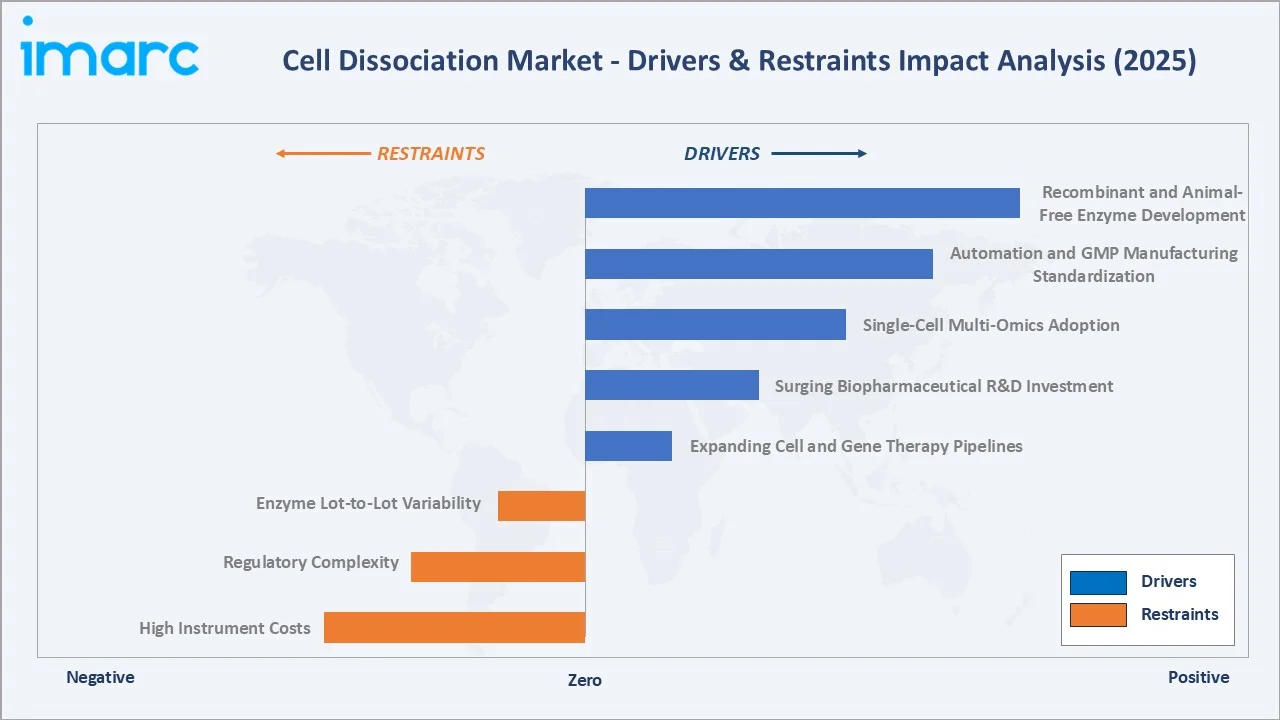 Cell Dissociation Market Drivers & Restraints