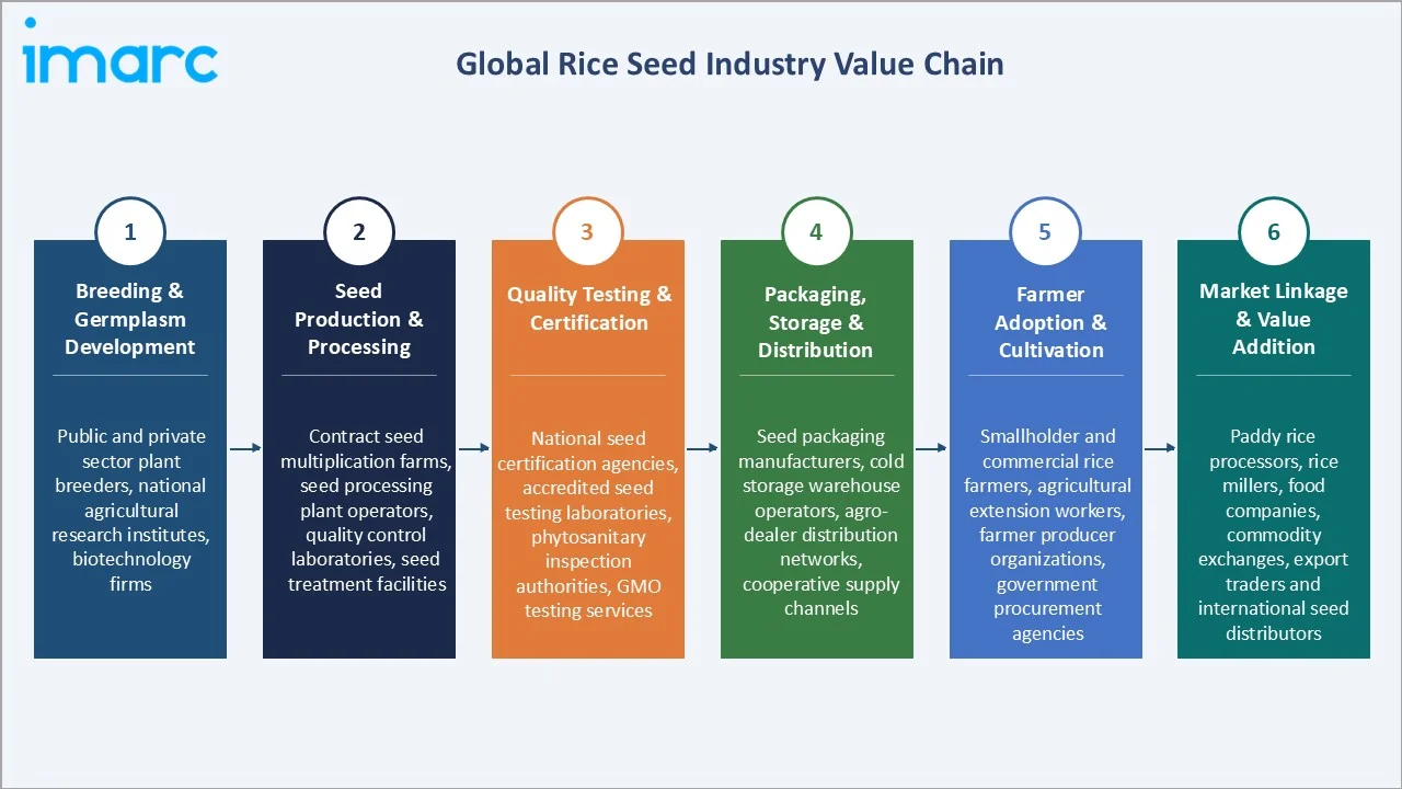 Rice Seed Market Industry Value Chain