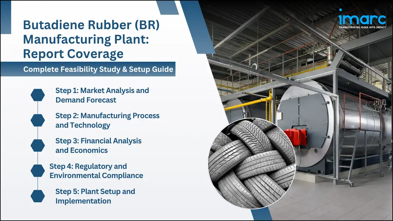 Butadiene Rubber (BR) Manufacturing Plant Project Report