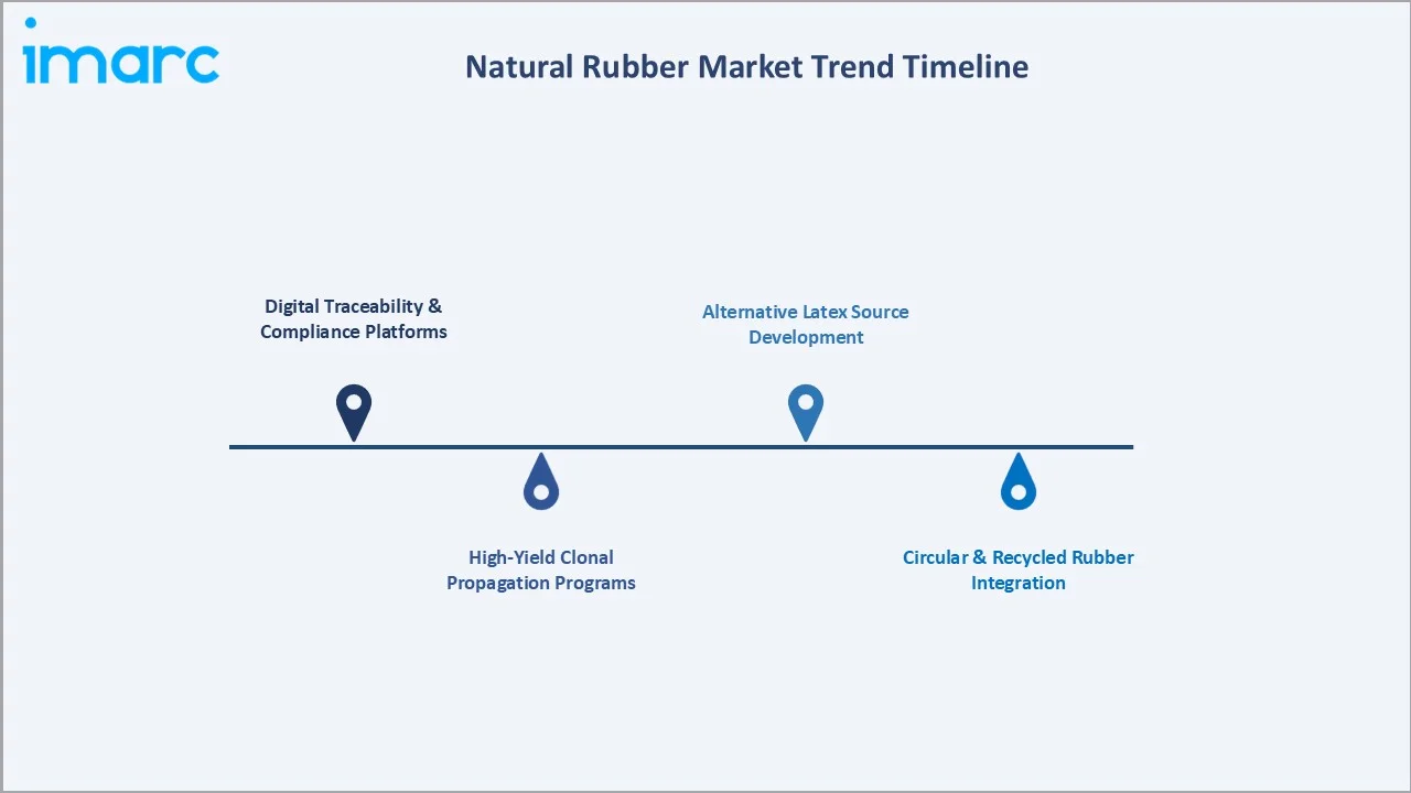 Natural Rubber Market Trend Timeline