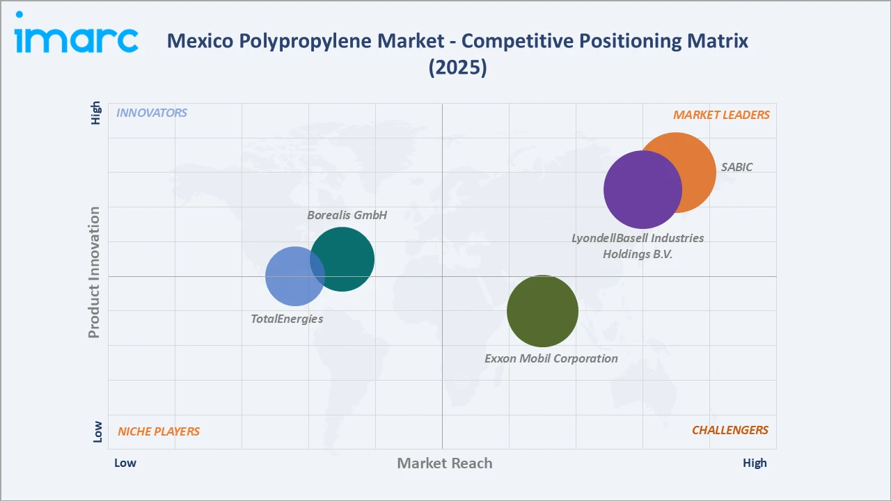 Mexico Polypropylene Market Competitive Positioning Matrix