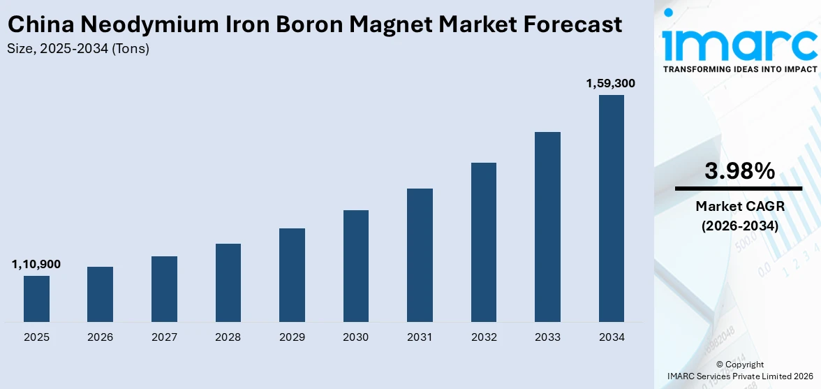 China Neodymium Iron Boron Magnet Market Size