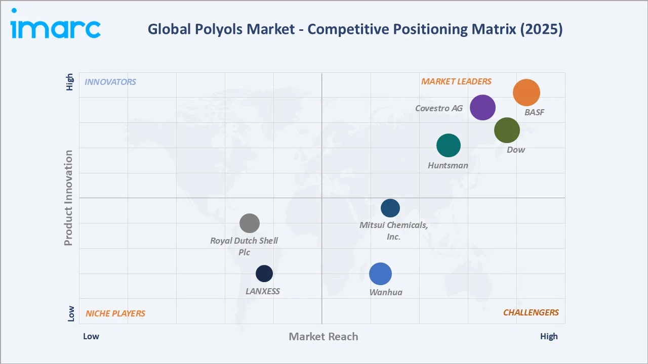 Polyols Market Competitive Positioning Matrix