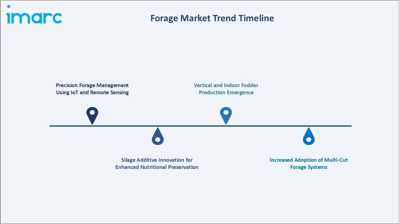 Forage Market Trend Timeline
