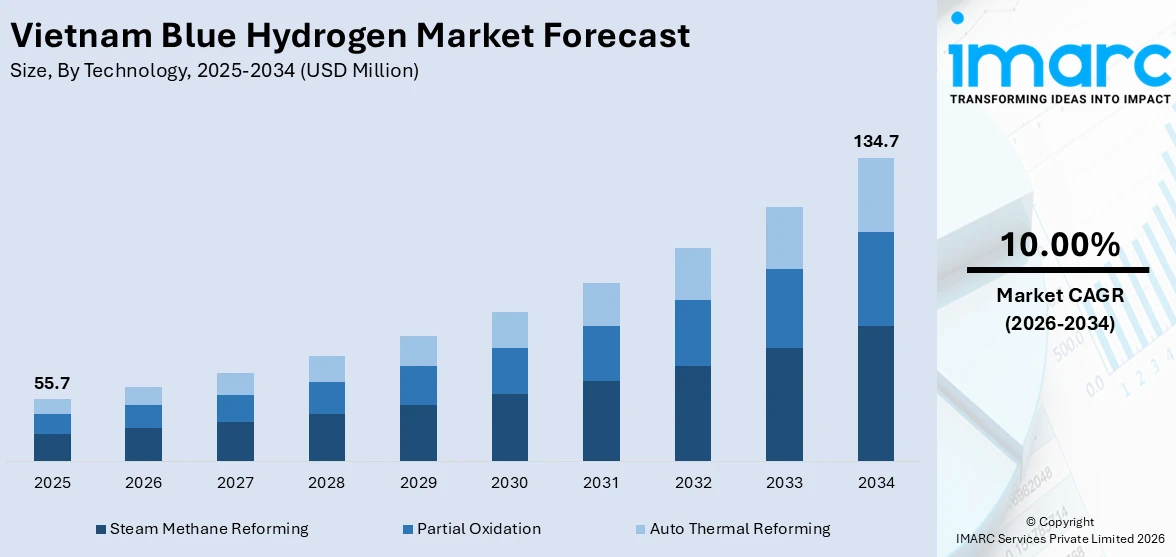 Vietnam Blue Hydrogen Market Size