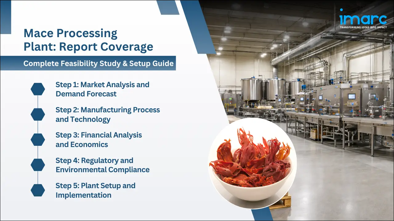 Mace Processing Plant Project Report
