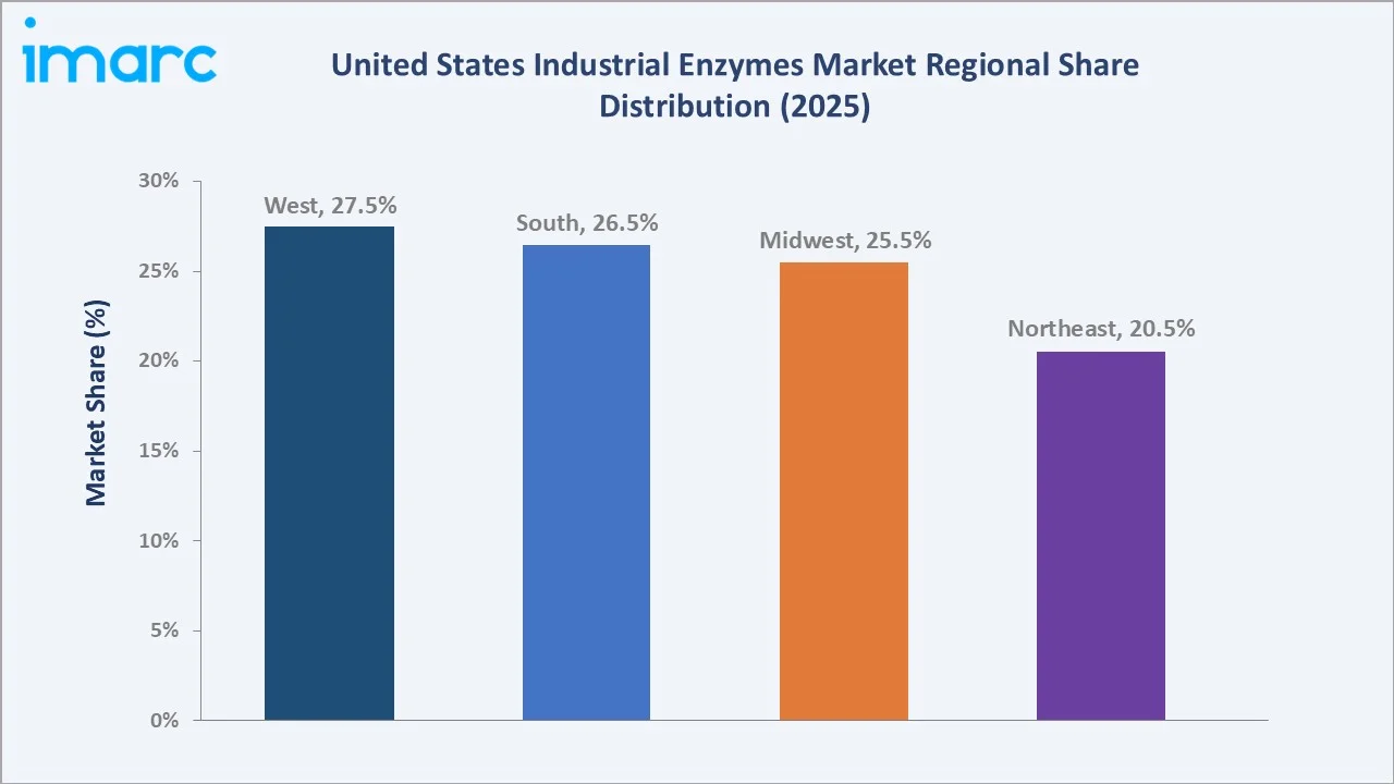 United States Industrial Enzymes Market By Region