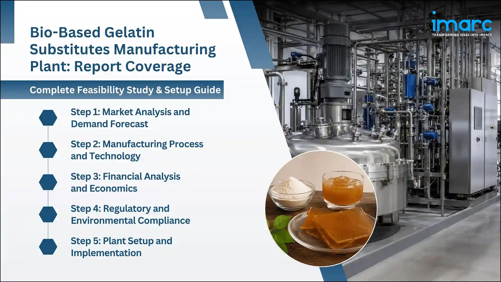 Bio-Based Gelatin Substitutes Manufacturing Plant Project Report