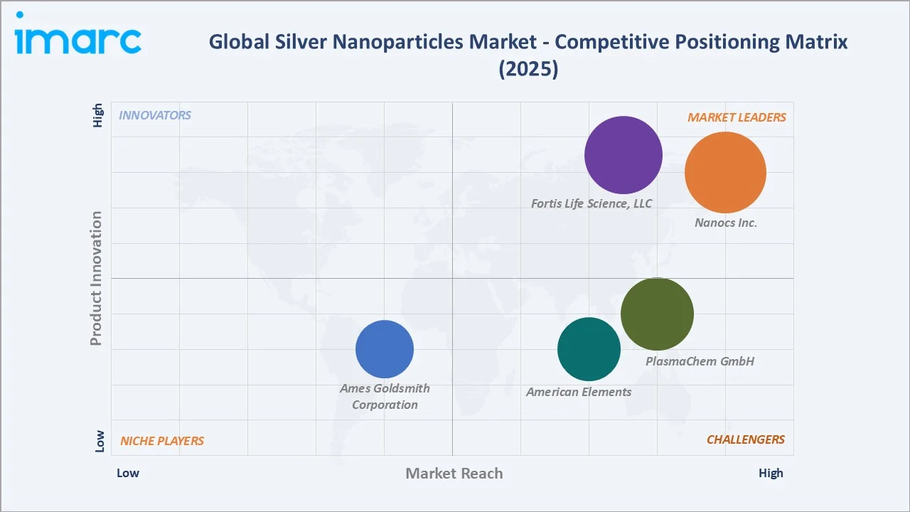 Silver Nanoparticles Market by Competitive Landscape