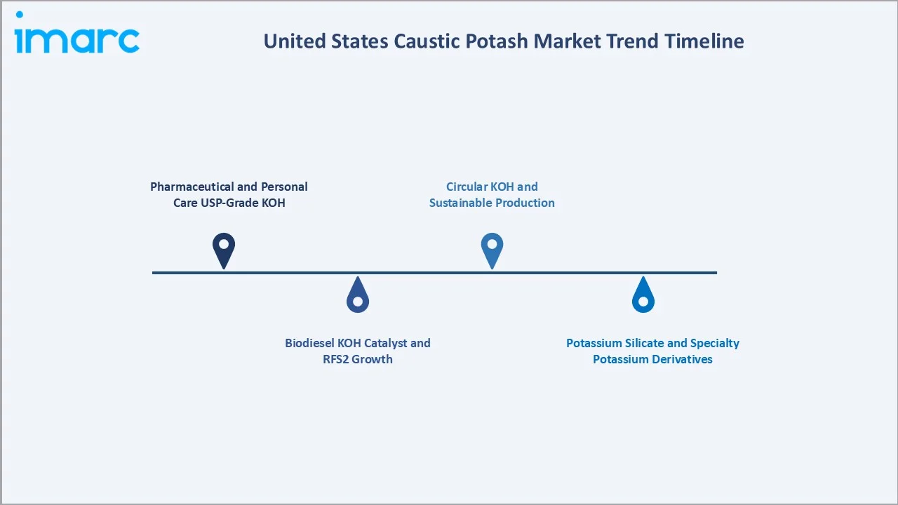 United States Caustic Potash Market Trend Timeline