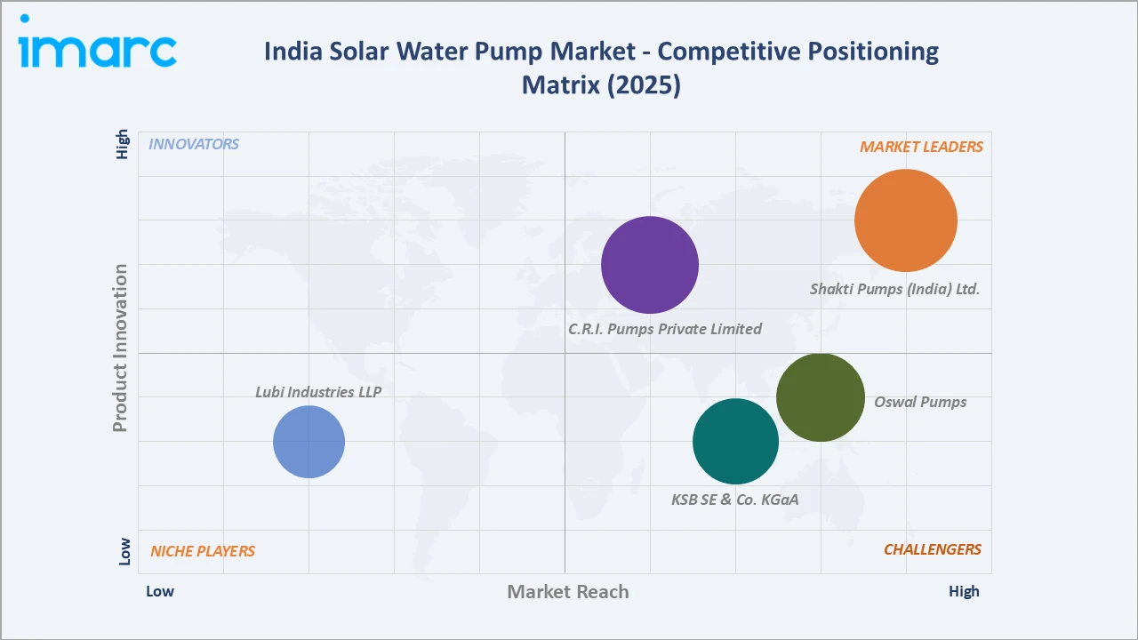 India Solar Water Pump Market Competitive Positioning Matrix