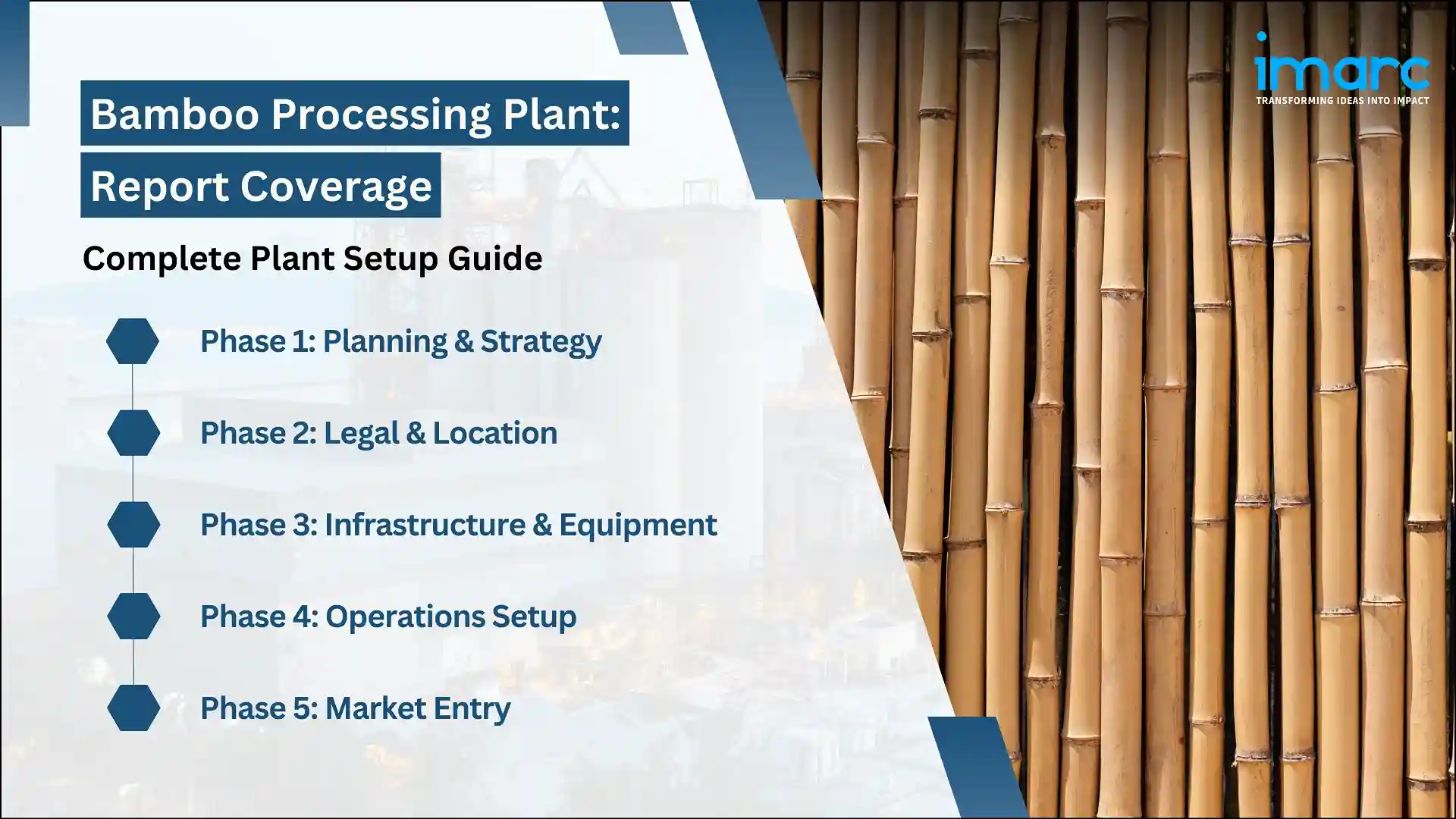 Bamboo Processing Plant Project Report