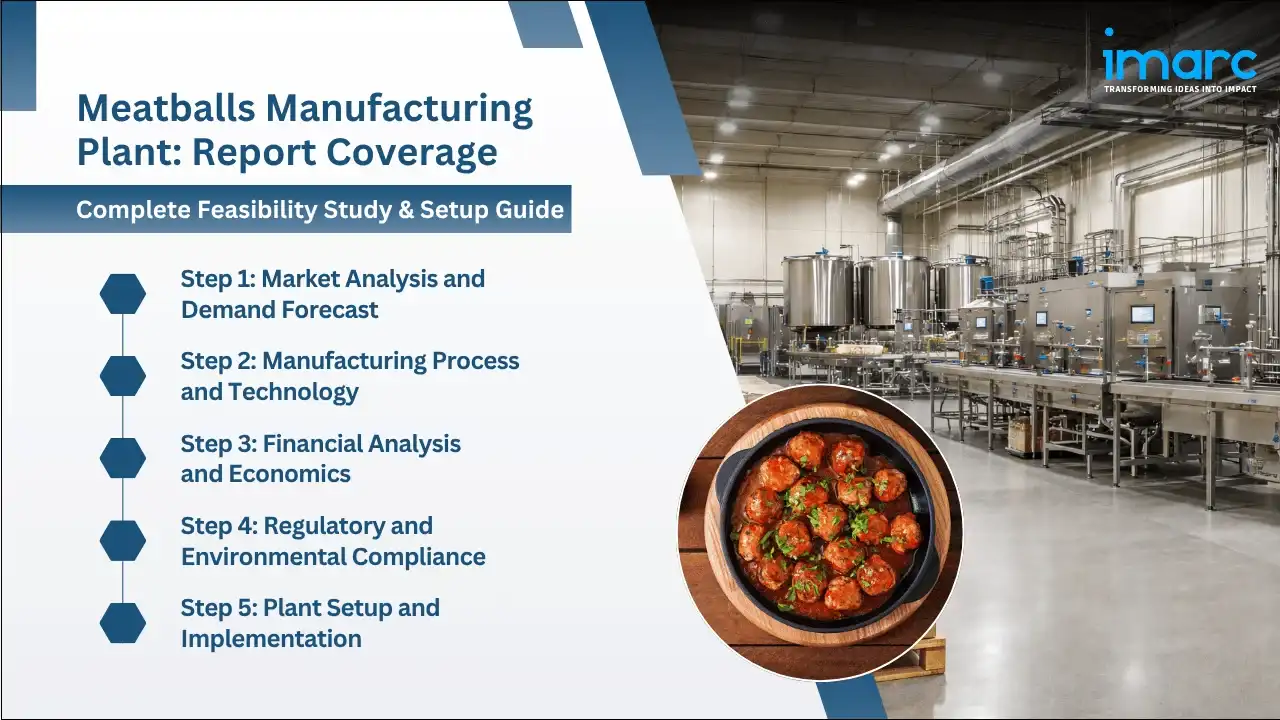 Meatballs Manufacturing Plant Project Report