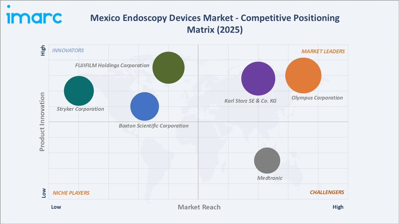 Mexico Endoscopy Devices Market Competitive Positioning Matrix