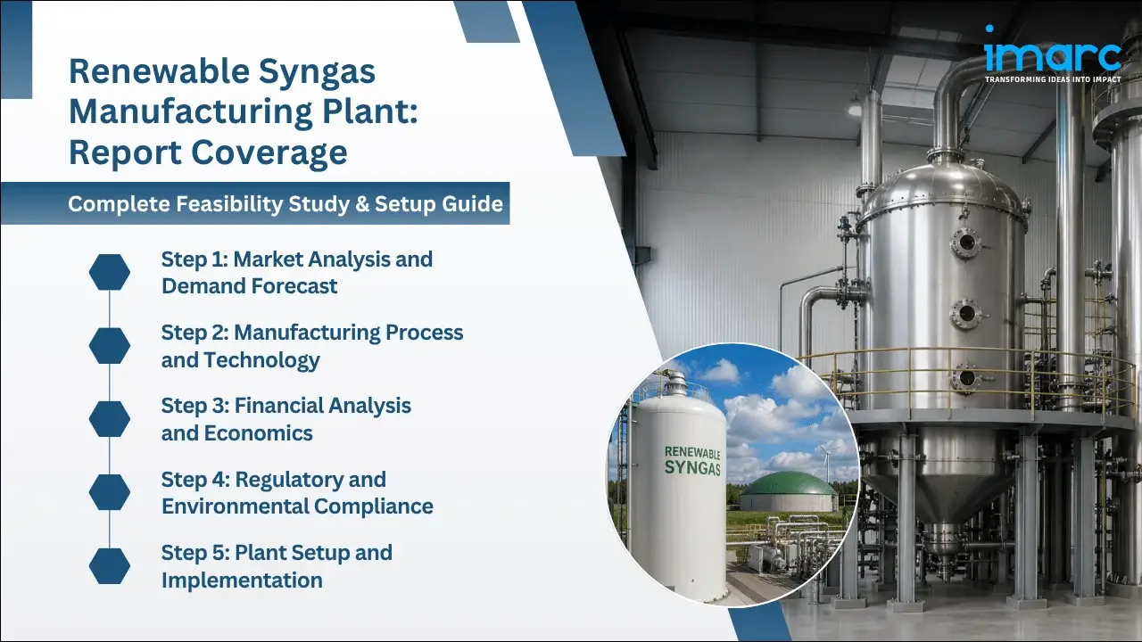 Renewable Syngas Manufacturing Plant Project Report