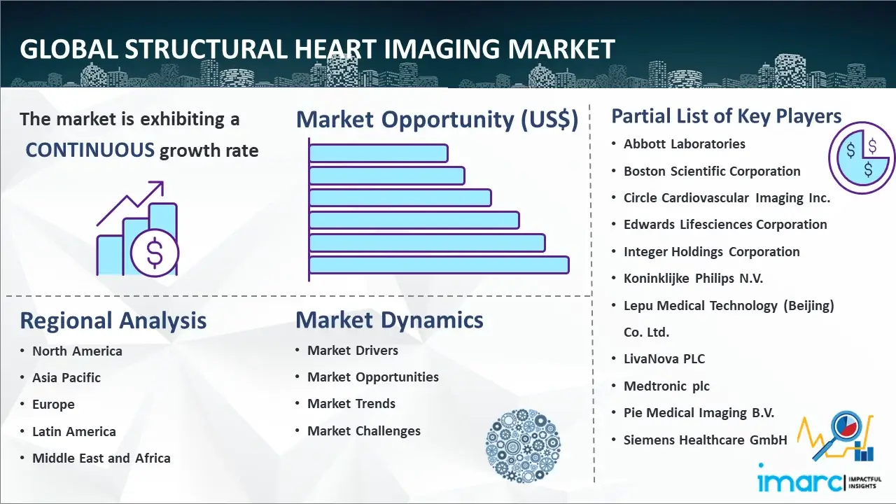 Global Structural Heart Imaging Market