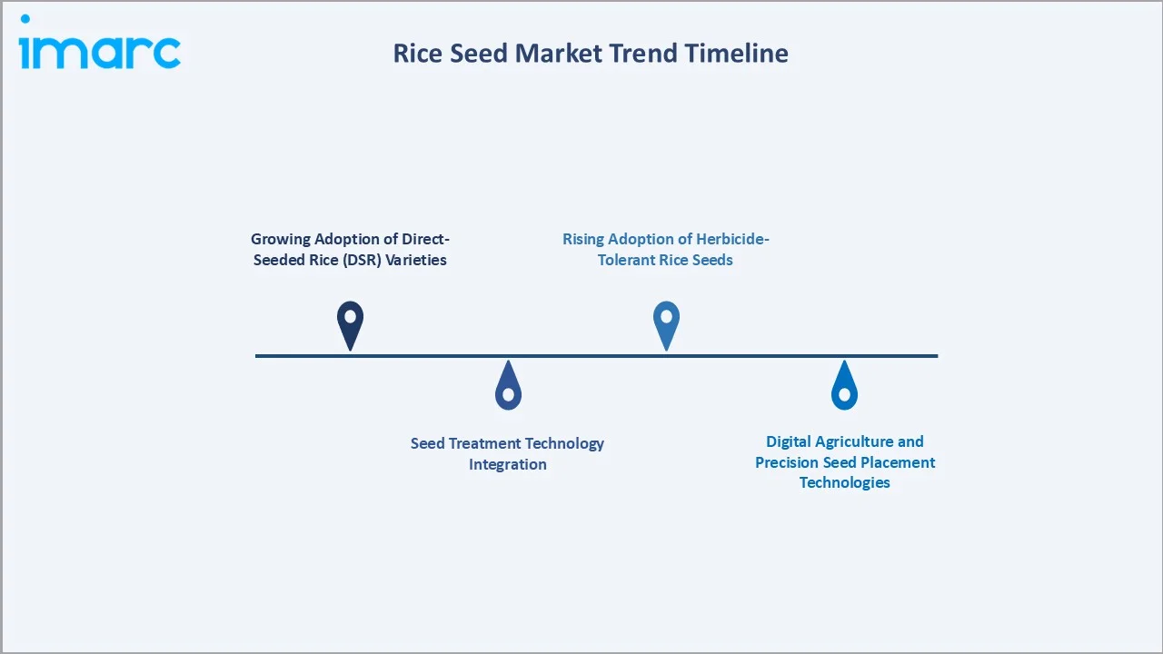 Rice Seed Market Trend Timeline