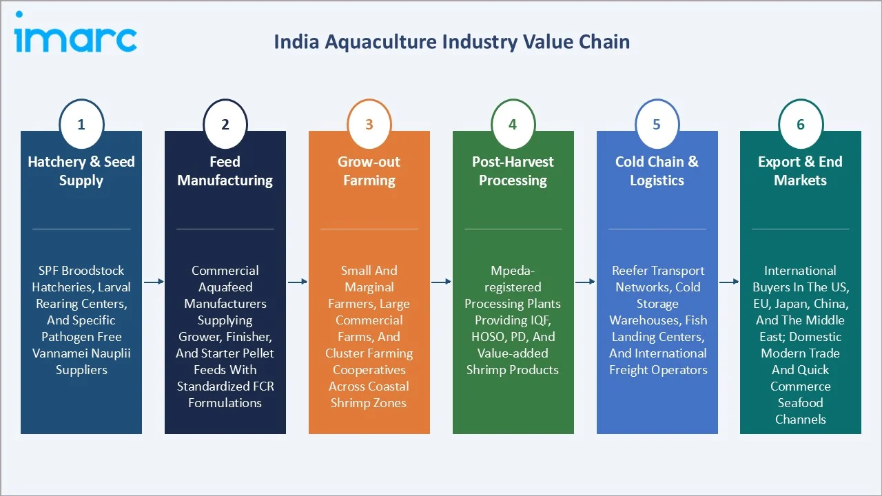 India Aquaculture Market Value Chain