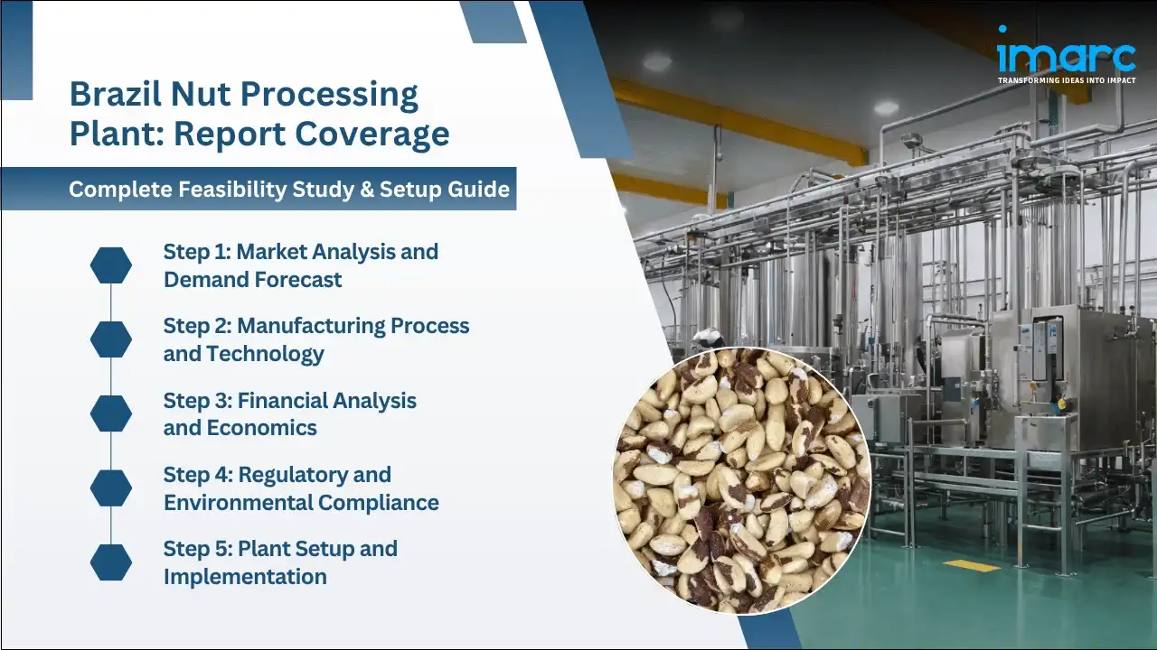 Brazil Nut Processing Plant Project Report 